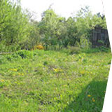 Garten erkunden